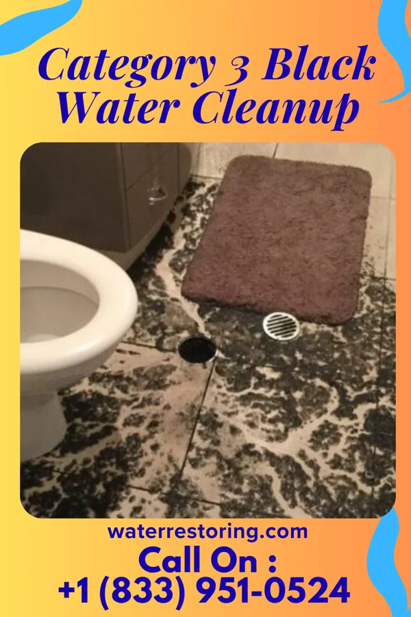 Category 3 Black Water Cleanup in Mount Pleasant, NC