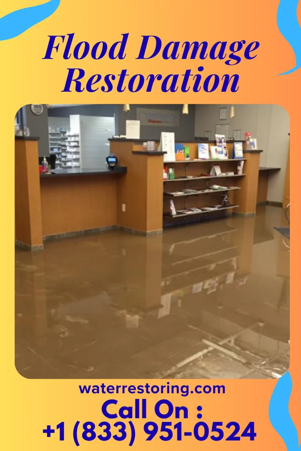 Flood Damage Restoration in Mount Pleasant, NC