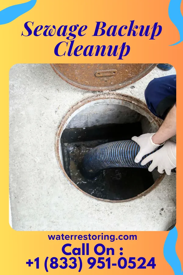 Sewage Backup Cleanup in Mount Pleasant, NC